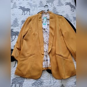 Skies are blue blazer